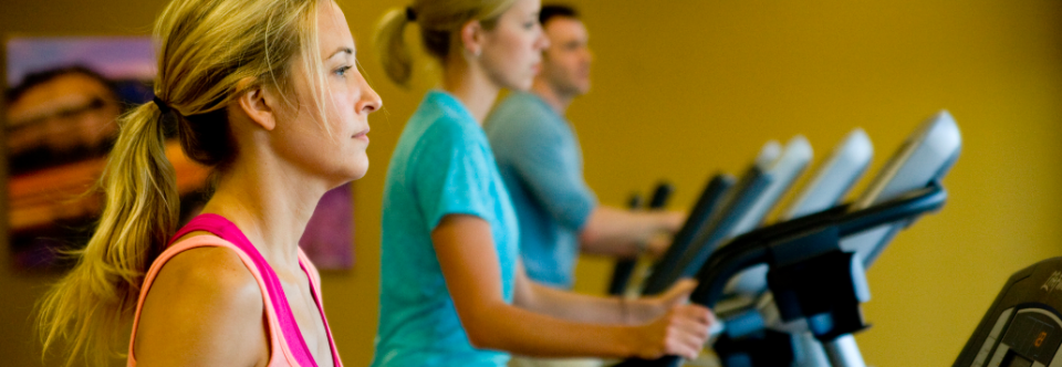 Schedule a Fitness Assessment
