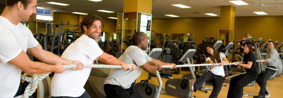 Meet our Trainers